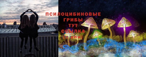 прущий лед Алексеевка