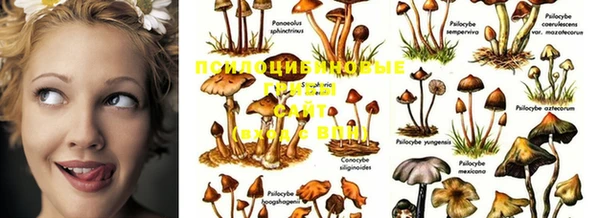 прущая мука Алзамай