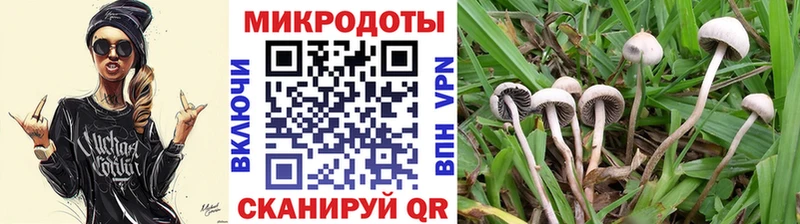 Псилоцибиновые грибы Psilocybine cubensis  блэк спрут как зайти  Уфа  что такое  